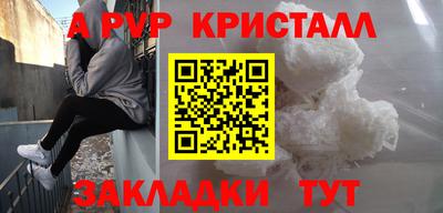 шишки Тара