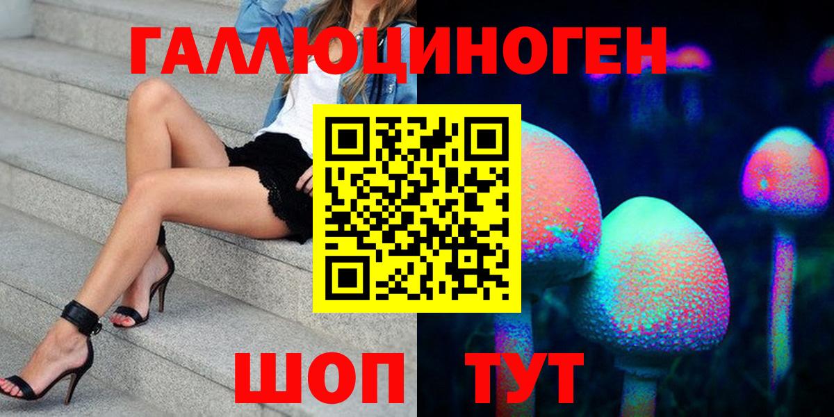 Псилоцибиновые грибы GOLDEN TEACHER  купить наркоту  Новоалтайск  Вход с VPN  Галлюциногенные грибы ЛСД 