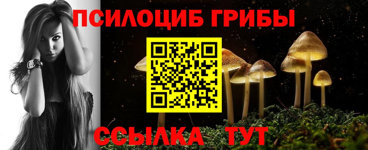 Псилоцибиновые грибы ЛСД Новоалтайск